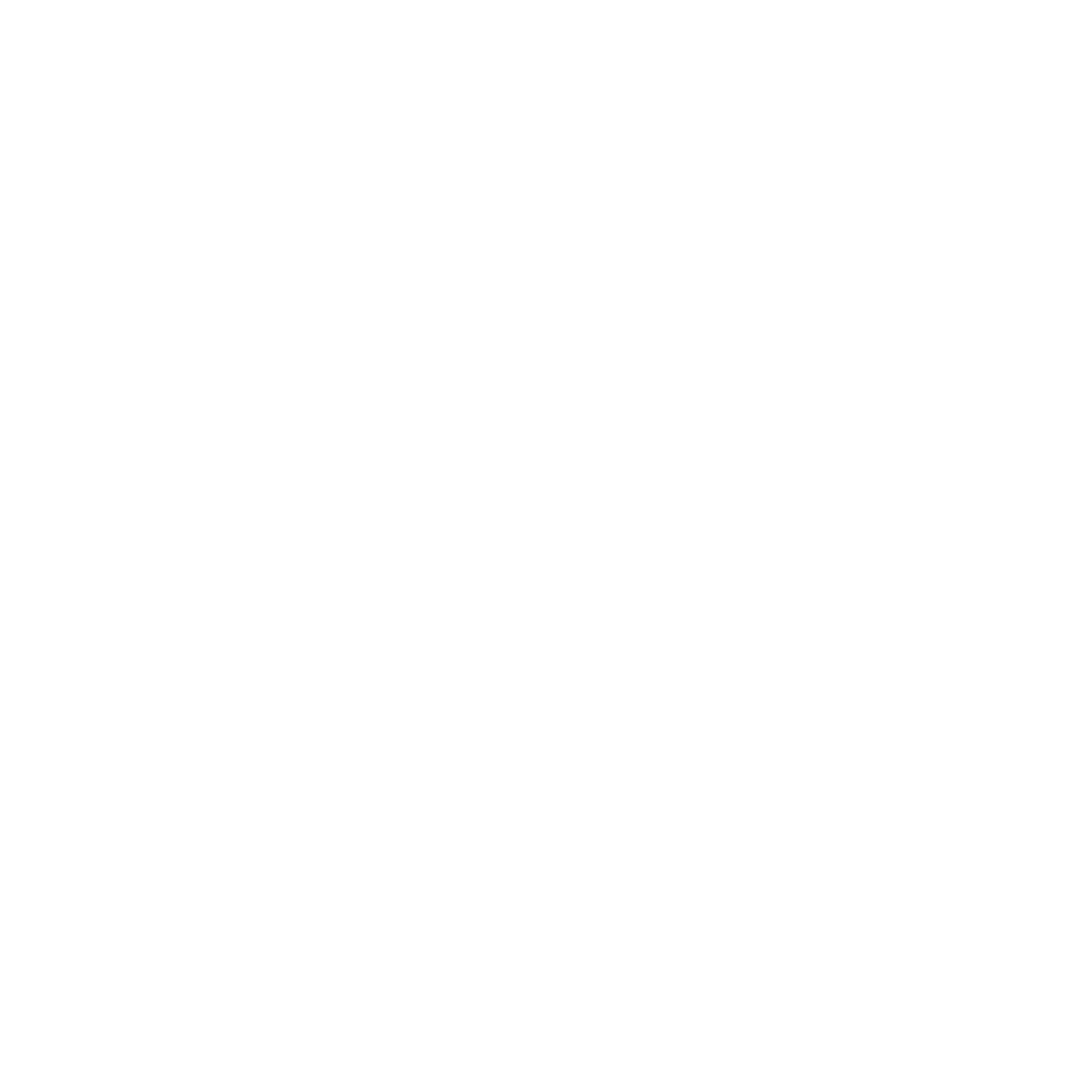 n0fake